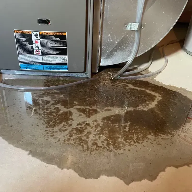 Appliance Leak Cleanup in Hickory Hills, MS